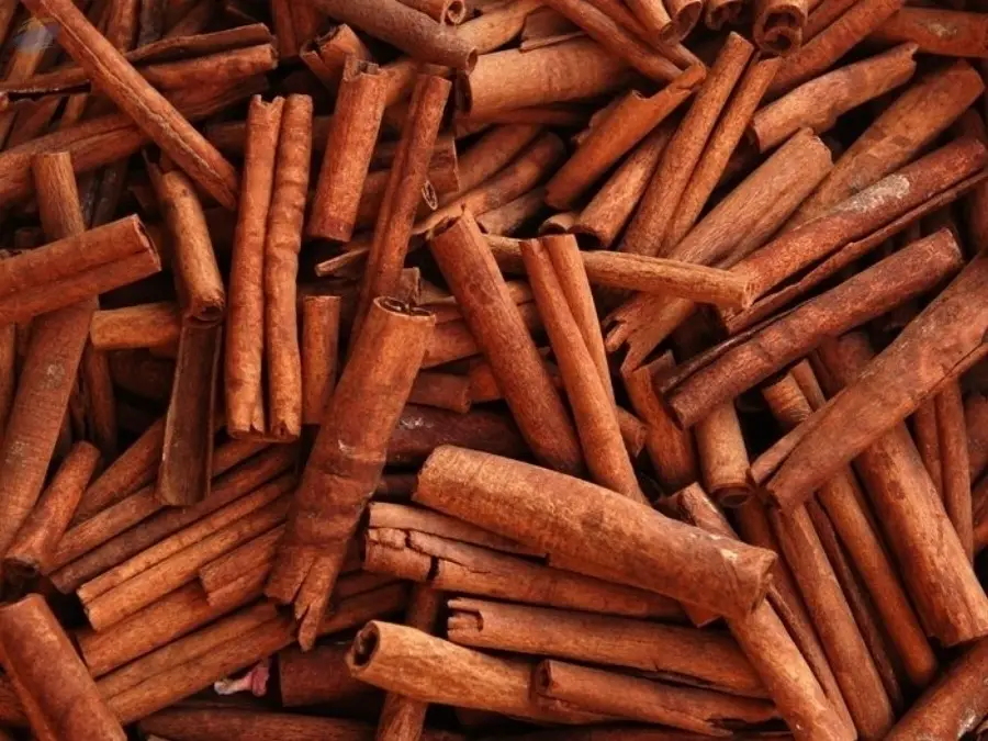 Cinnamon/ Cassia