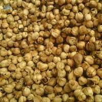 Cardamom