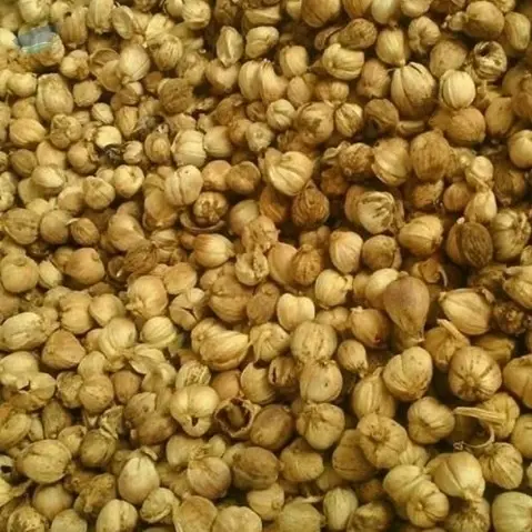 Cardamom