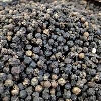 Black Pepper