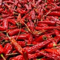 Red Dried Chili