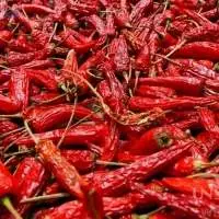 Red Dried Chili