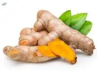 Turmeric