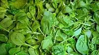 Spinach