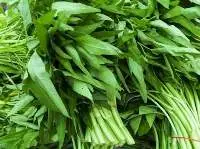 Water Spinach