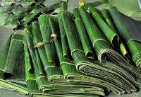 Banana Leaf