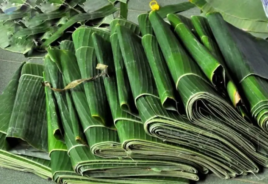 Banana Leaf
