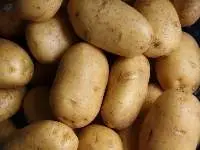 Potato