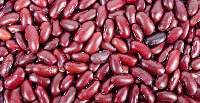 Dried Red Kidney Bean