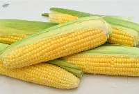 Corn