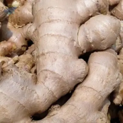 Ginger