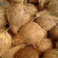 Semi Husked Coconut
