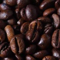Roasted Robusta Coffee Beans