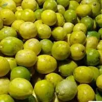 Lemon