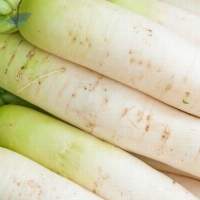 Radish