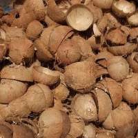 Coconut Shell
