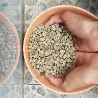 Arabica Grade A, Washed Kintamani