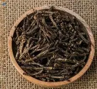 Clove Stem
