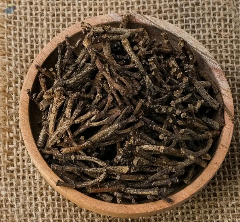 Clove Stem