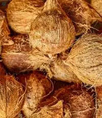 Semi Husked Coconut