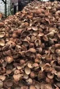 Coconut Shell