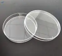 Cell Culture Dish