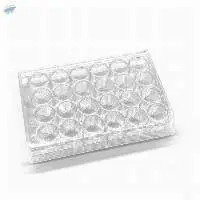 Cell Culture Plate