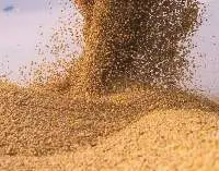 Poultry Feed