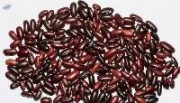Kidney Beans