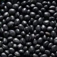 Black Beans