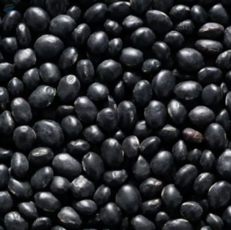 Black Beans