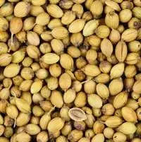 Coriander Seeds