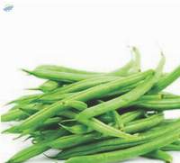 French Beans