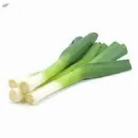 Spring Onion