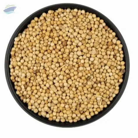 Eagle Coriander Seeds
