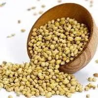 Coriander Seeds Machine Clean 99.99% Purity