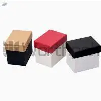 Paper Watch Boxes