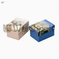 Paper Watch Boxes