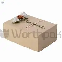 Paper Watch Boxes