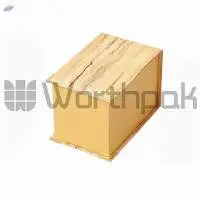 Plastic Watch Boxes