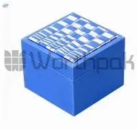 Plastic Watch Boxes