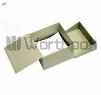 Plastic Watch Boxes