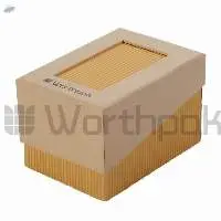 Paper Watch Boxes
