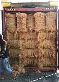 Coco Fiber