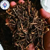 Premium Export Grade Quality Clove Stem