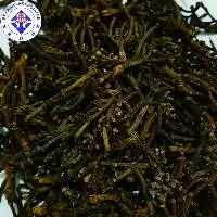Clove Stem