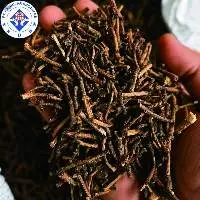 Clove Stem