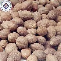 Nutmeg