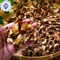 Galangal