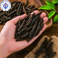 Long Pepper